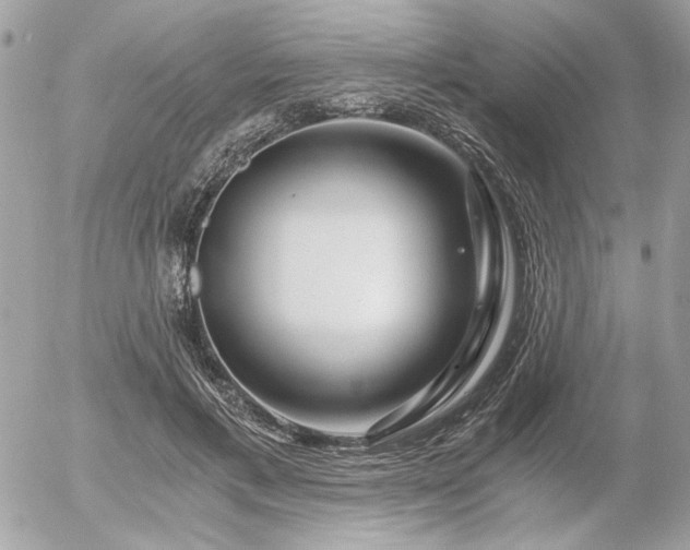 X0000056320597200508261157