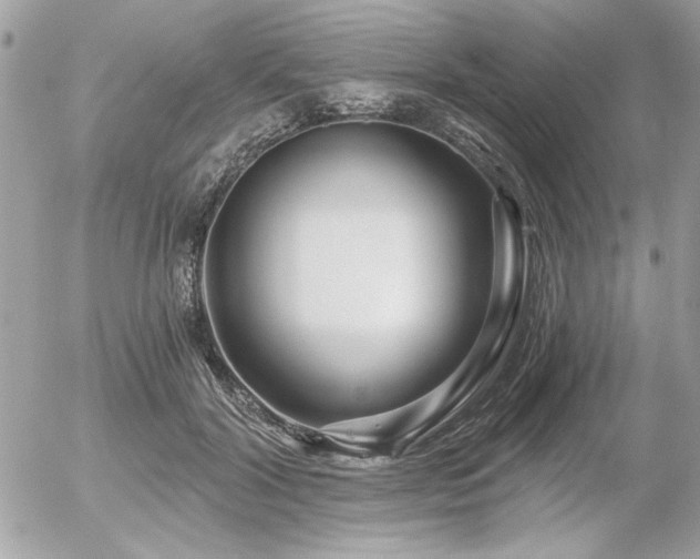 X0000056320604200508261157
