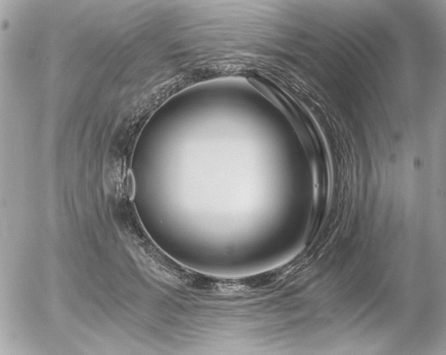X0000056320605200508261157