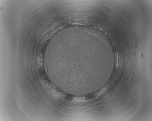 X0000056320606200508261157