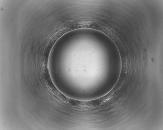 X0000056320608200508261157