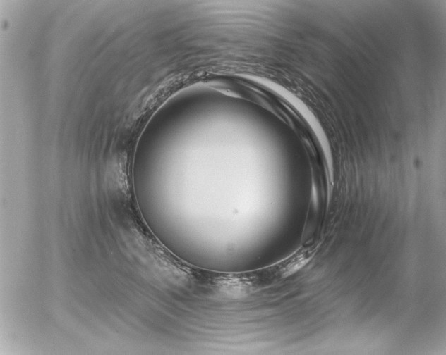 X0000056320616200508261156