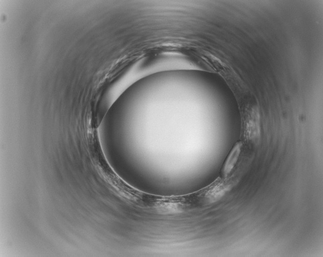 X0000056320620200508261156