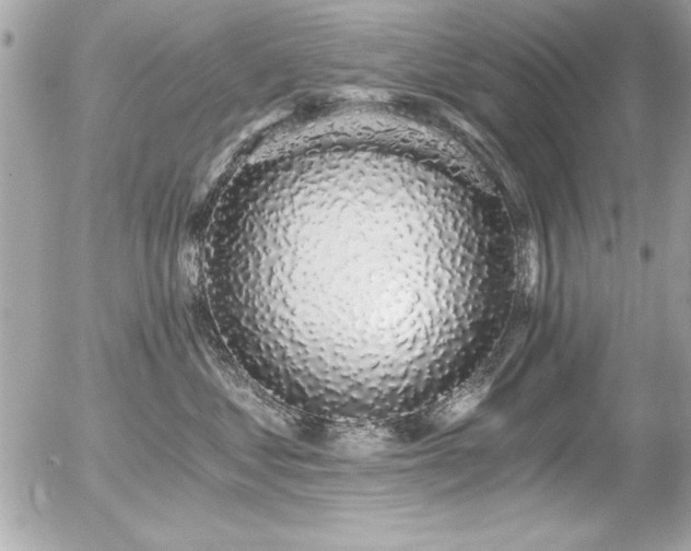 X0000056320621200508261156