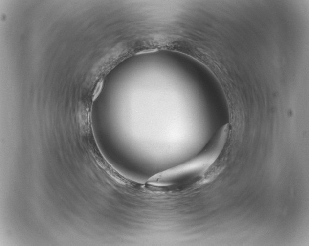 X0000056320624200508261156