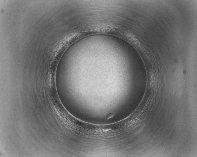 X0000056320636200508261156