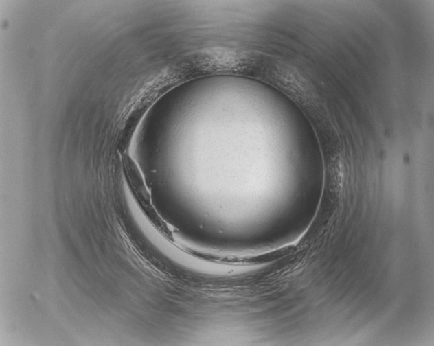 X0000056320642200508261156