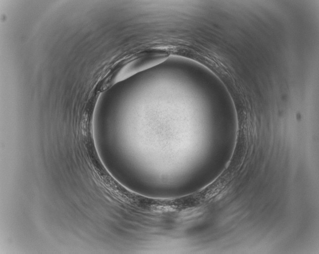 X0000056320649200508261156