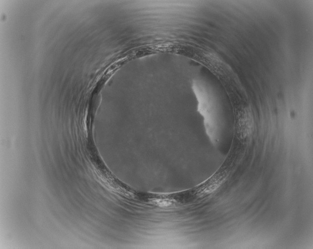 X0000056320654200508261156