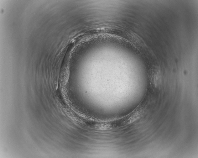 X0000056320660200508261156