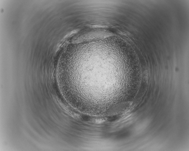 X0000056320662200508261156