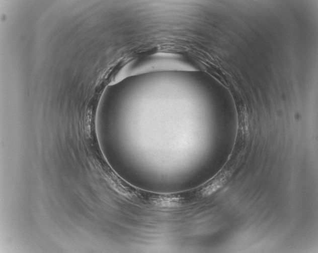 X0000056320664200508261156