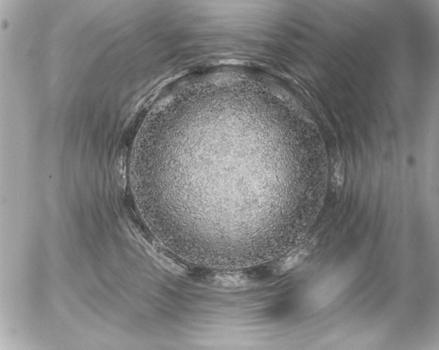 X0000056320666200508261156