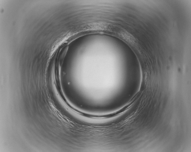 X0000056320676200508261155