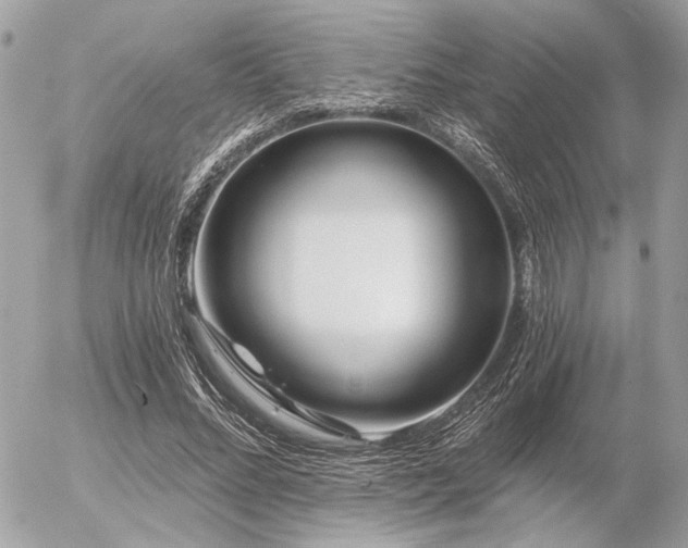 X0000056320684200508261155