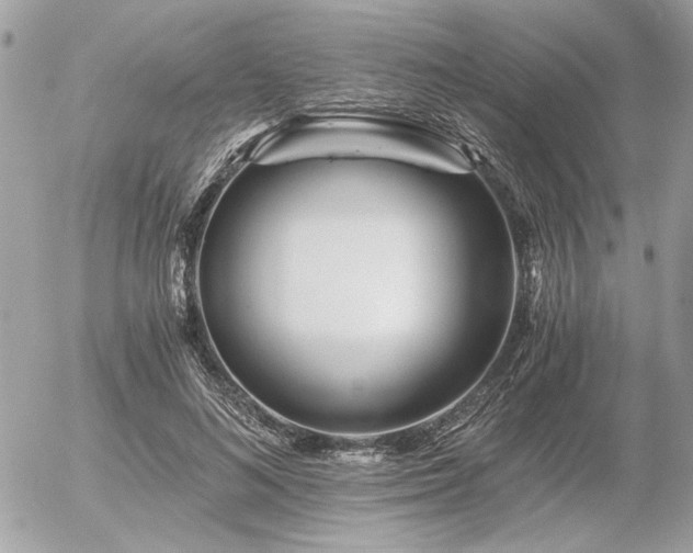X0000056320692200508261155