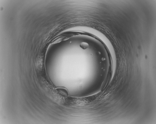 X0000056320697200508261155