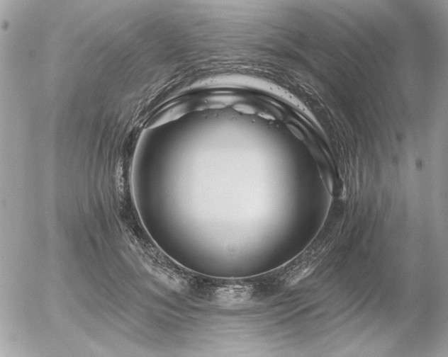 X0000056320700200508261155
