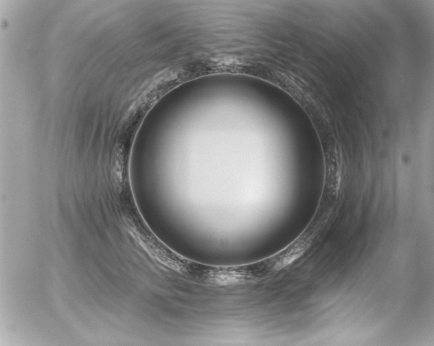 X0000056320710200508261155