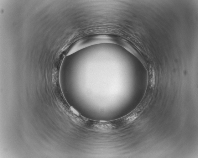 X0000056320712200508261155