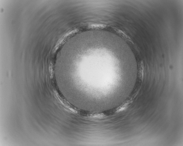 X0000056320716200508261155