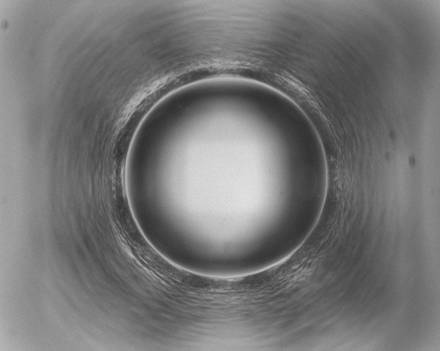 X0000056320732200508261154