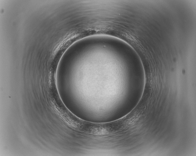 X0000056320735200508261154