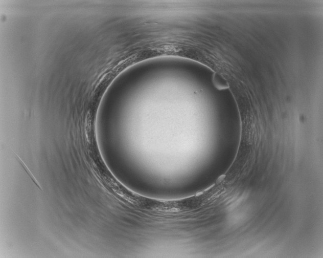 X0000056320747200508261154