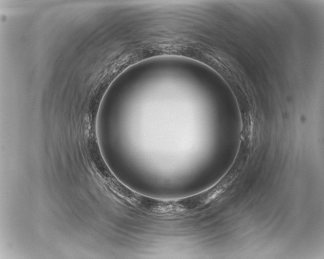X0000056320752200508261154