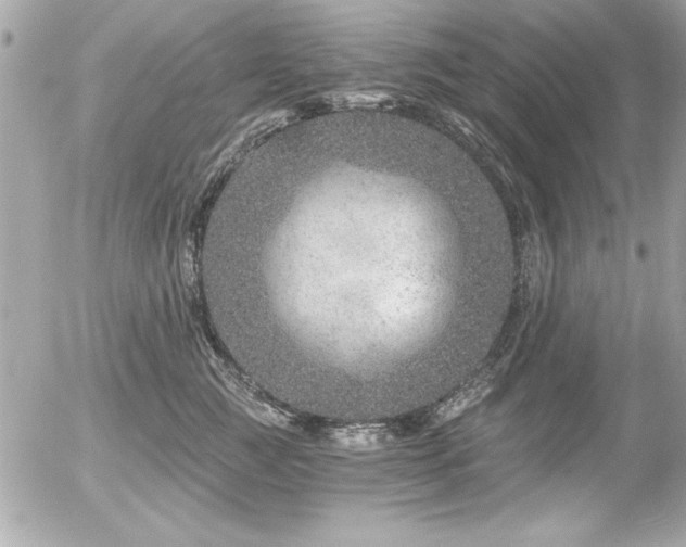 X0000056320761200508261155