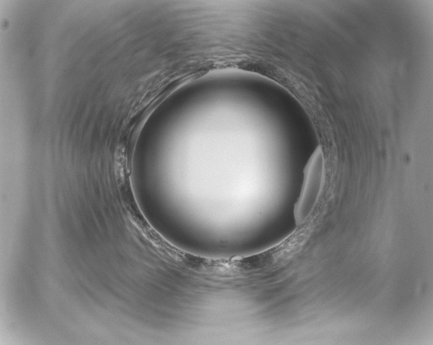 X0000056320768200508261155