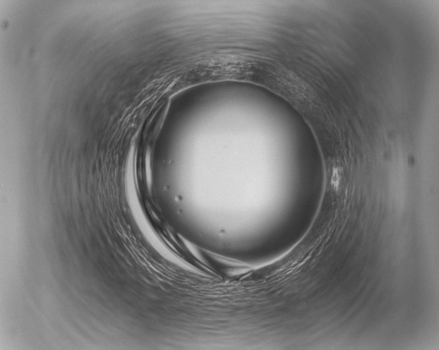 X0000056320771200508261154