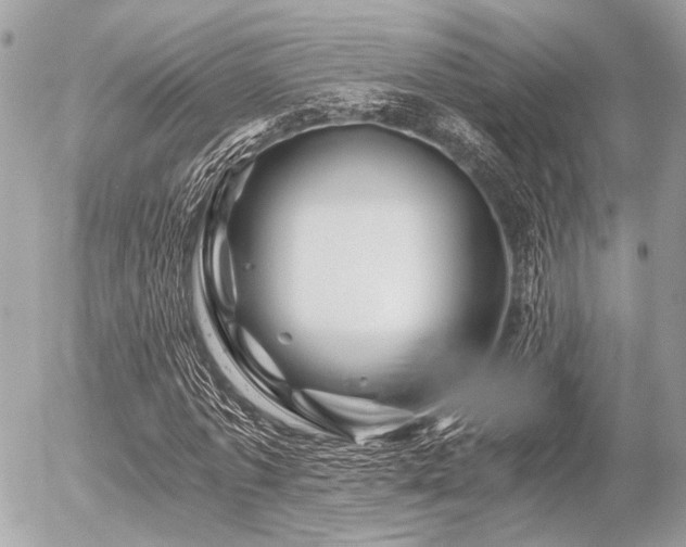 X0000056320773200508261154
