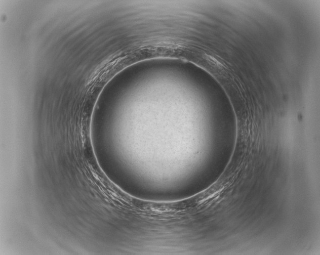 X0000056320774200508261154