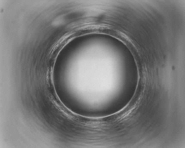 X0000056320778200508261154