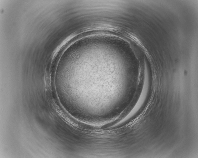 X0000056320780200508261154