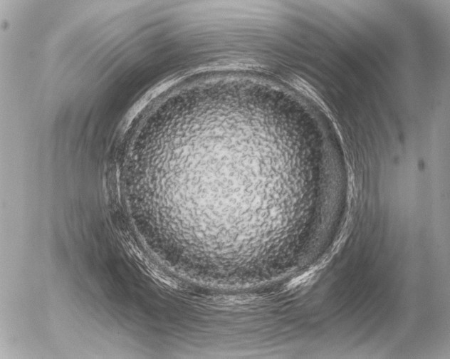 X0000056320781200508261154