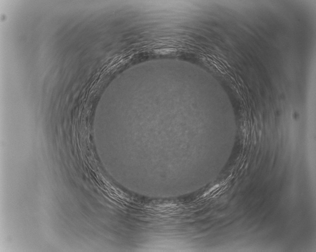 X0000056320817200508261152