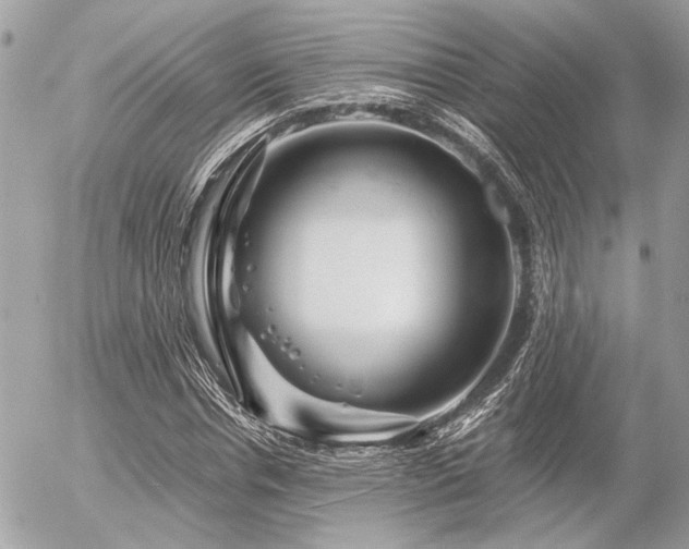 X0000056320826200508261152