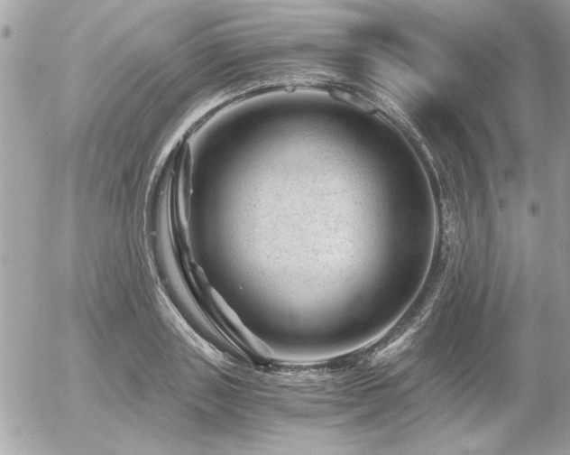 X0000056320843200508261153