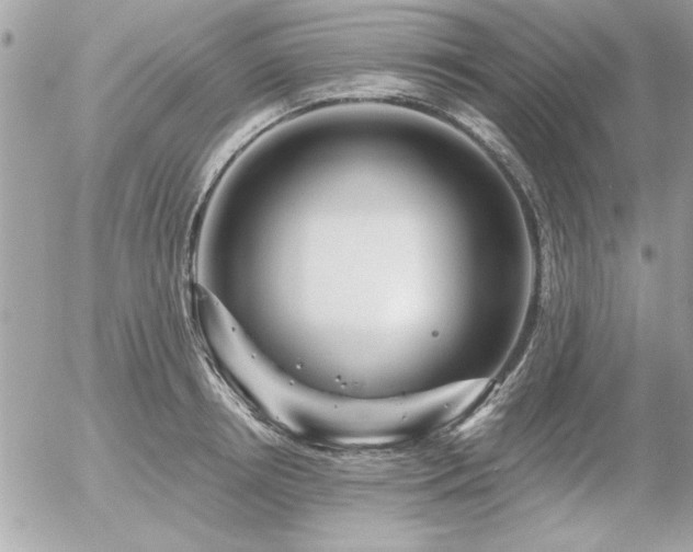 X0000056320850200508261153