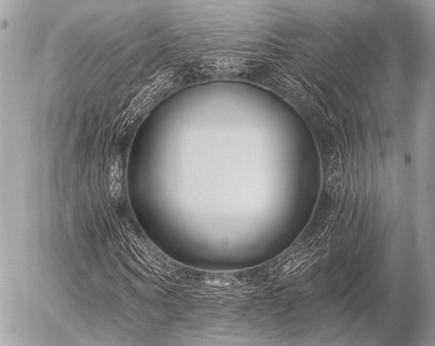 X0000056320866200508261152