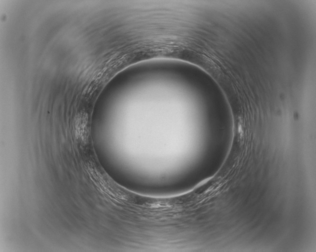 X0000056320867200508261152