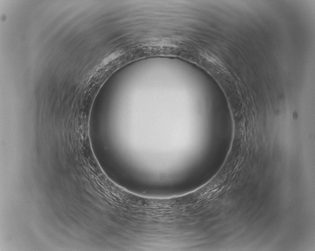 X0000056320870200508261152