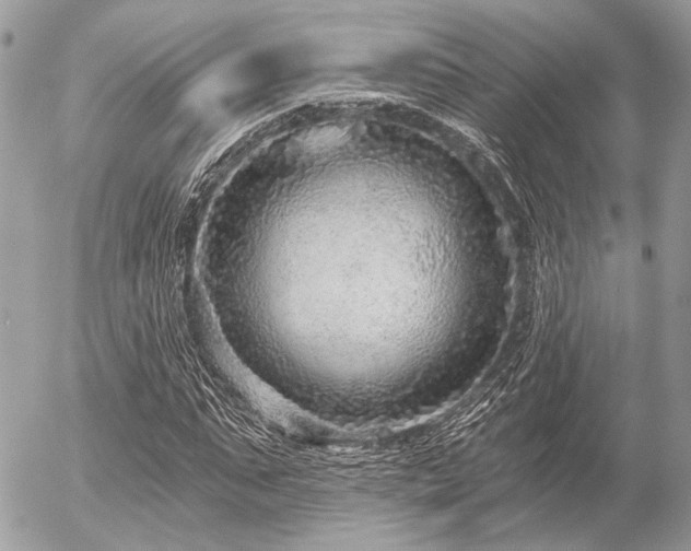 X0000056320871200508261152