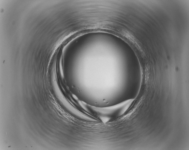 X0000056320876200508261152