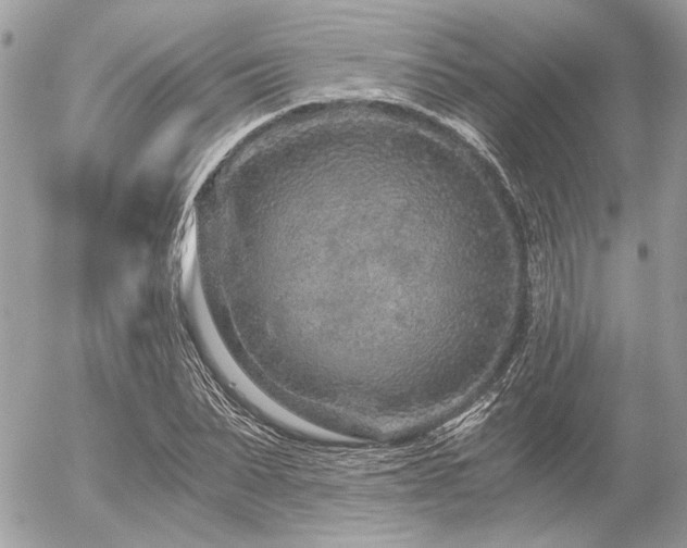 X0000056320879200508261152