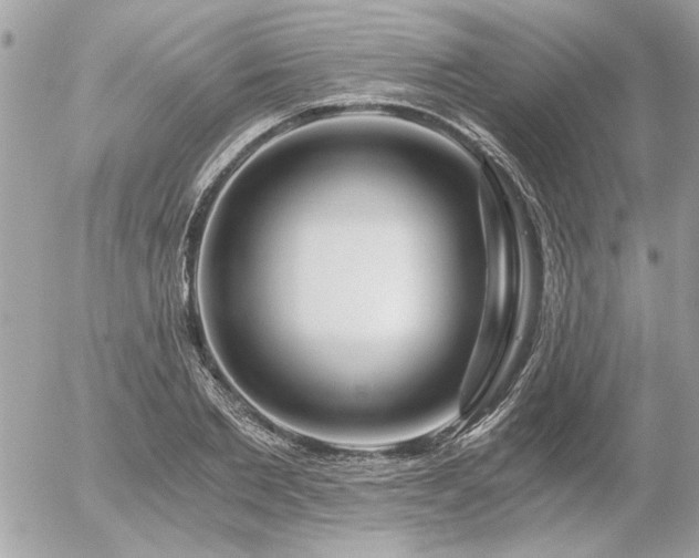 X0000056320885200508261152