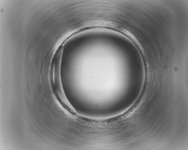 X0000056320901200508261152