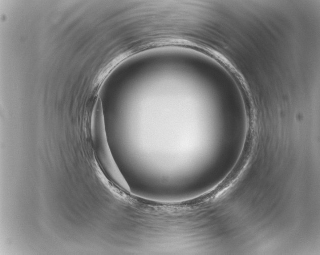 X0000056320905200508261152